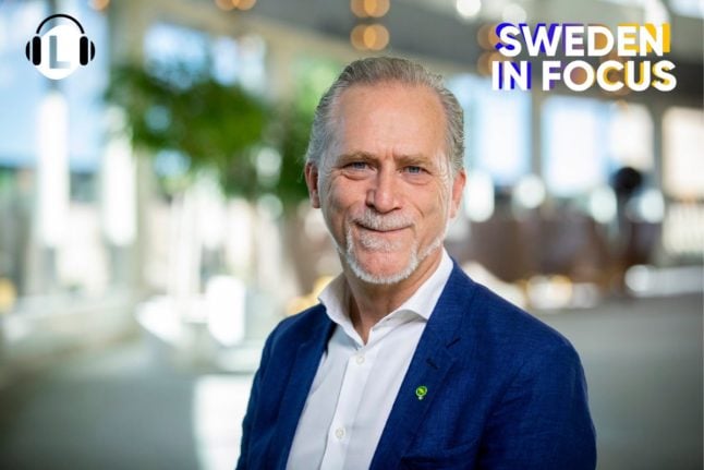 Sweden's labour migration clampdown will harm green transition: Green Party leader