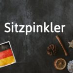 German word of the day: Sitzpinkler