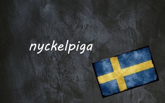 Swedish word of the day: nyckelpiga
