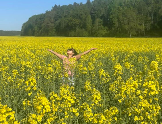 Reader photo of the week: Fields of gold in southern Stockholm