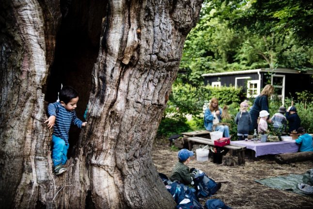Copenhagen partially spares city’s forest kindergartens from closure