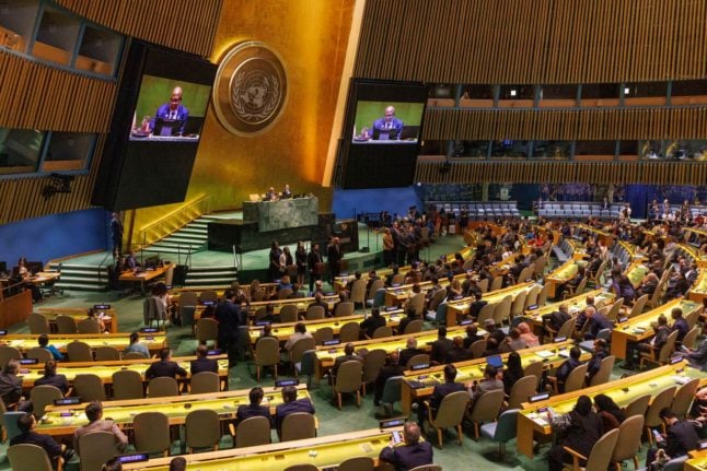 Denmark gets seat on UN Security Council