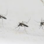 What are anti-mosquito apps and are they worth using in France?