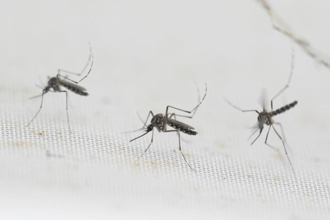 What are anti-mosquito apps and are they worth using in France?