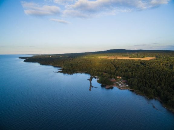 For sale: Swedish land for 1 krona per square metre – on one condition