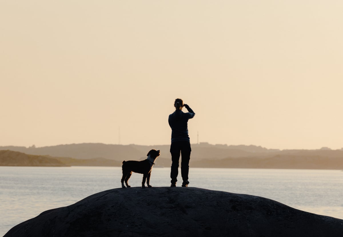a person and a dog in the archipelago