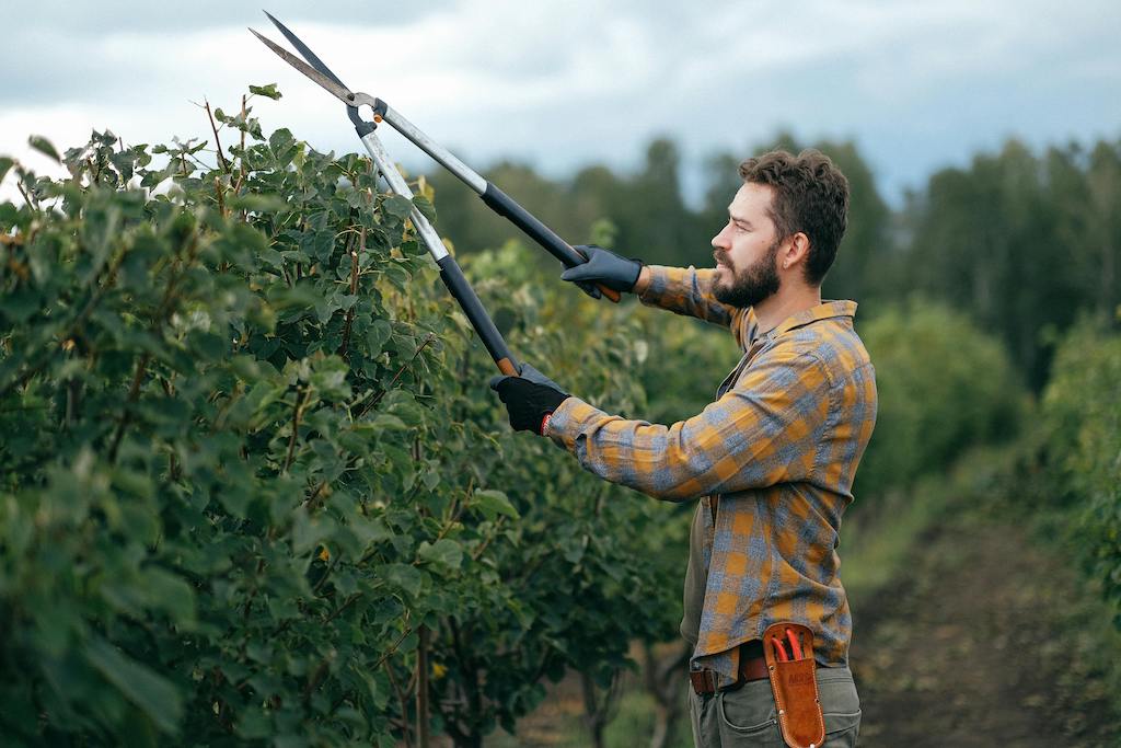 What you should know before hiring a gardener in Spain
