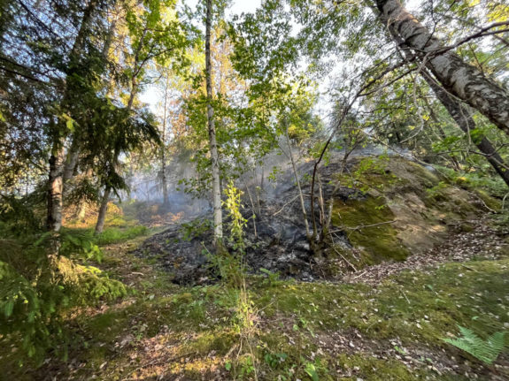 Sweden heatwave: Warning of 'extremely high' risk of local forest fires