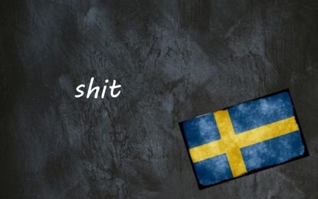 Swedish word of the day: shit
