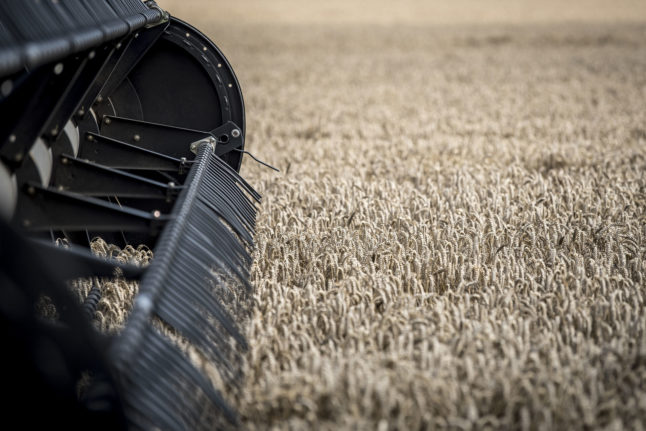 Soaking Danish summer means poor harvest for farmers