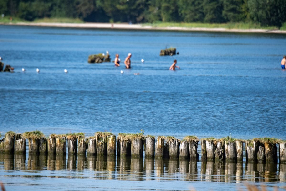 Baltic sea coast