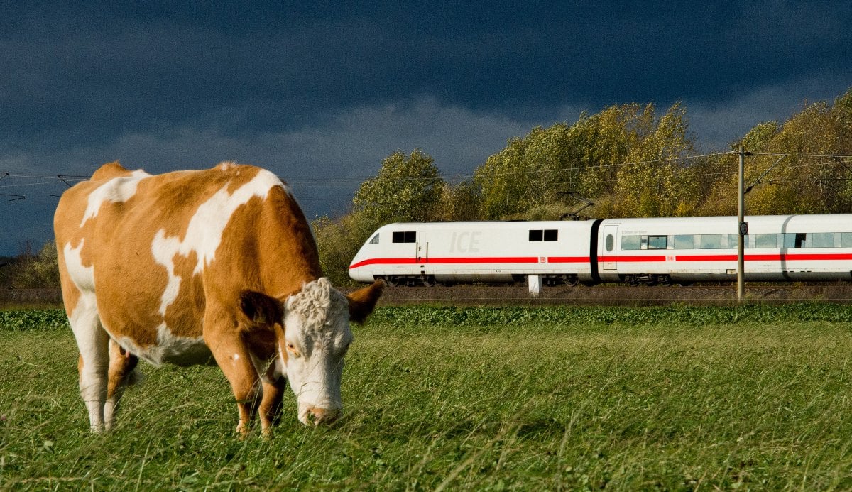 An ICE train near a field in Hanover.