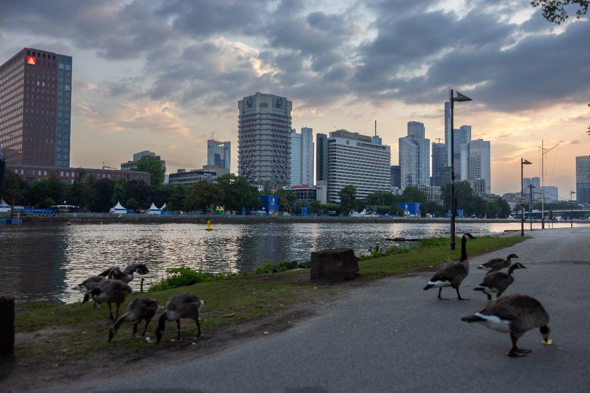 Frankfurt am Main