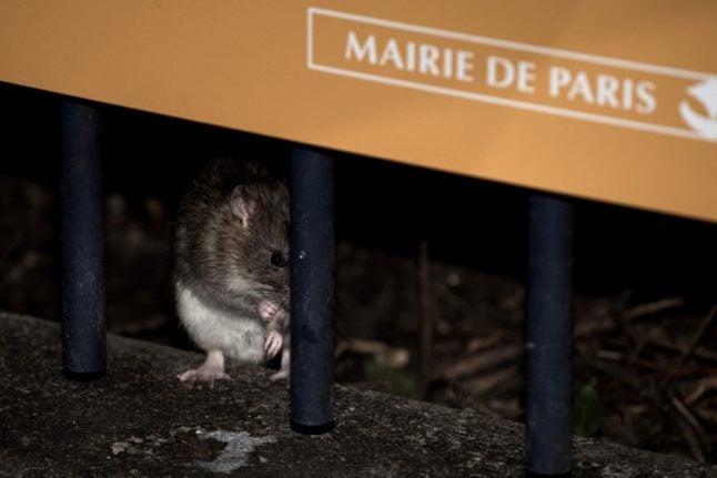 Paris prepares warm Olympics welcome – except for rats