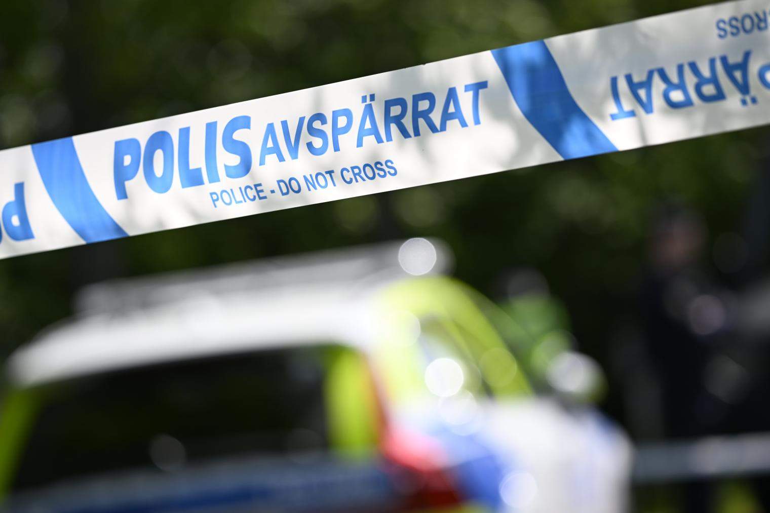 
            Two people suspected murdered in Swedish car fire 'may be Britons'
        