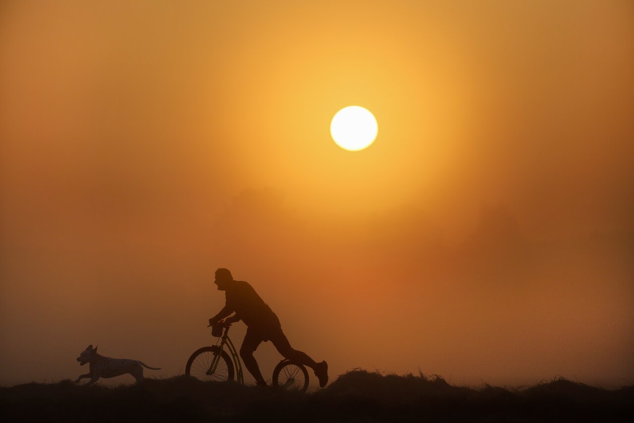 German forecasters issue heat warnings as temperatures to rise above 35C