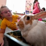 French primary school children to take pet care classes