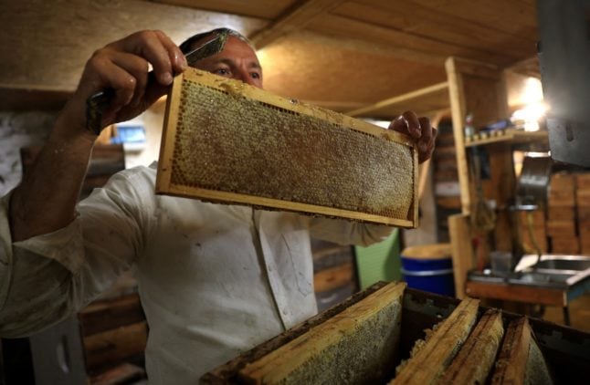 ‘Bees starving’ in disastrous year for French honey