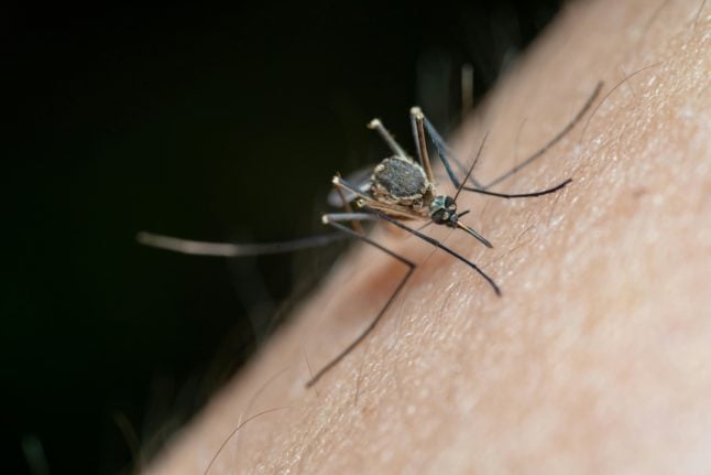 How serious is the West Nile virus spread in Spain?