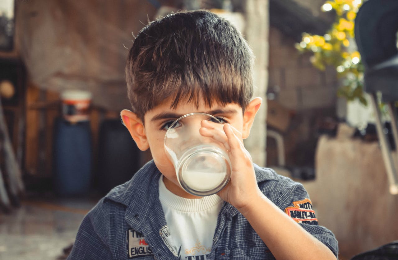 Cinco razones por las que «leche» significa algo más que simplemente «leche» en España