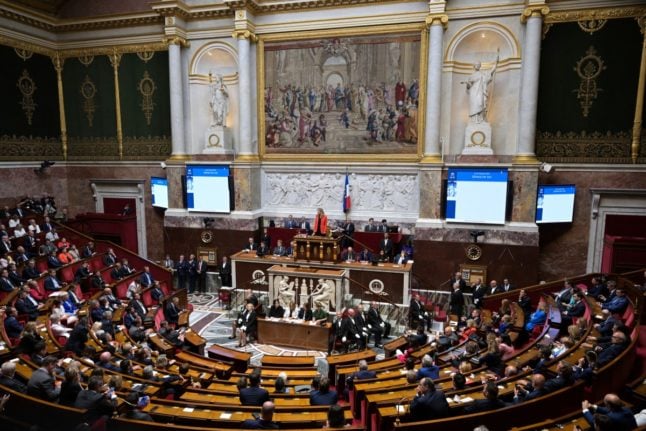 Dating apps and pet-sitters: What can French MPs claim on expenses?