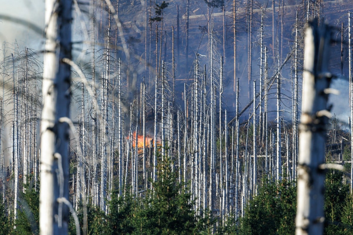 Firefighting operations to tackle blaze in German mountains resume after overnight pause