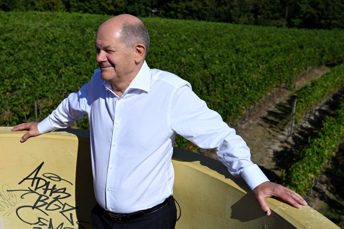 German Chancellor Olaf Scholz visits the Wachtelberg vineyard in the town of Werder near Potsdam, capital of the eastern German state of Brandenburg before the elections.