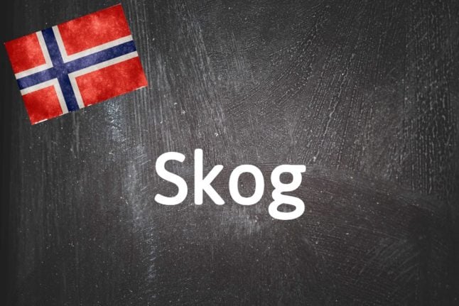 Norwegian word of the day: Skog