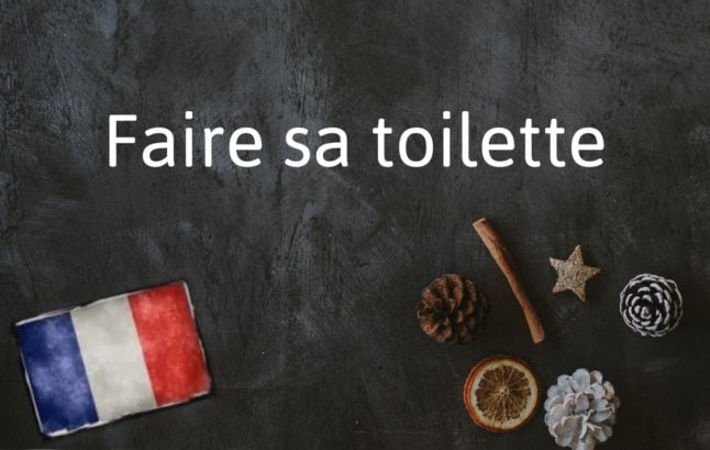 French Phrase of the Day: Faire sa toilette