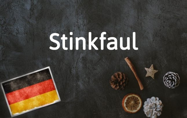 German word of the day Stinkfaul