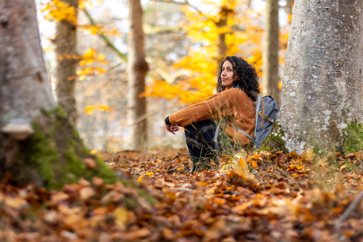 The best places to visit in Sweden each season