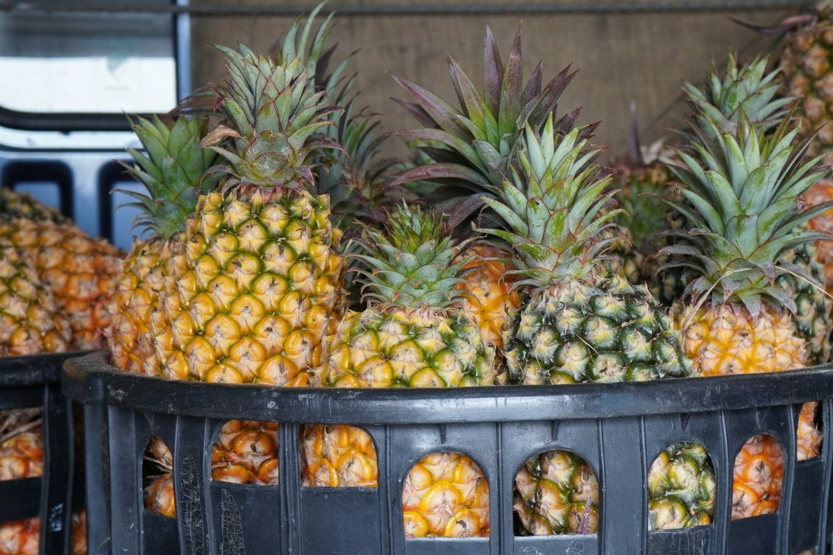 Flirting craze at Mercadona supermarkets takes over Spain