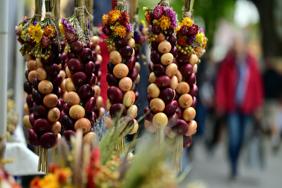 onion plaits at the Weimar onion market