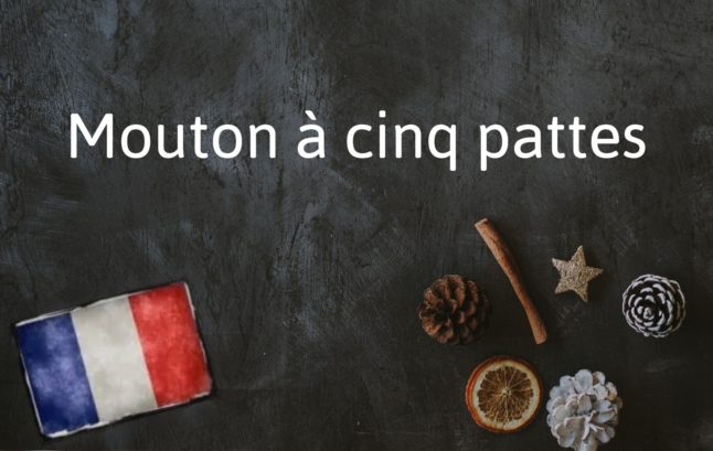 French Expression of the Day: Mouton à cinq pattes