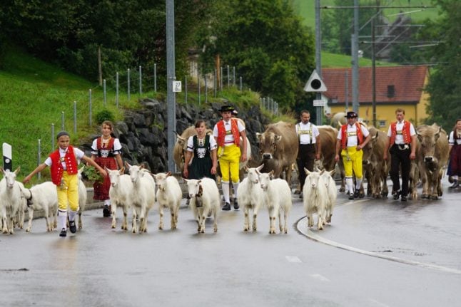 What are Switzerland's autumn cow processions and where can I see one?