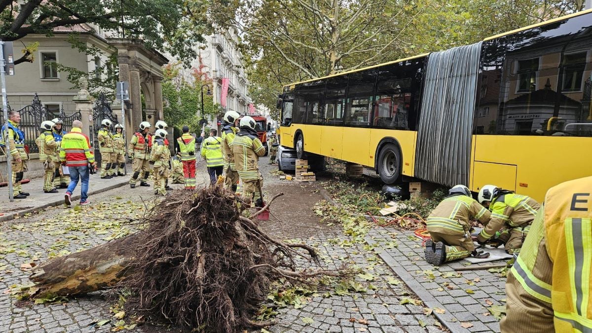 Today in Germany: A roundup of the latest news on Tuesday