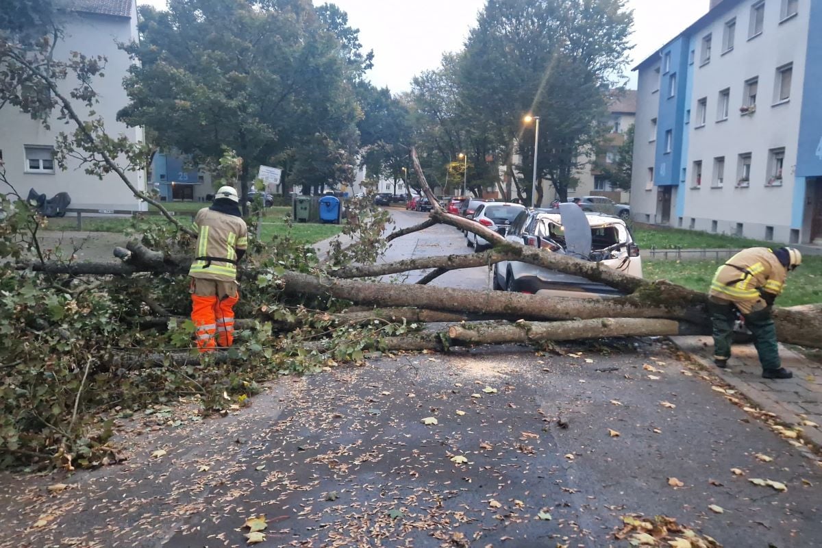 Storm Kirk: Ex-hurricane to sweep over Germany before warm weather returns