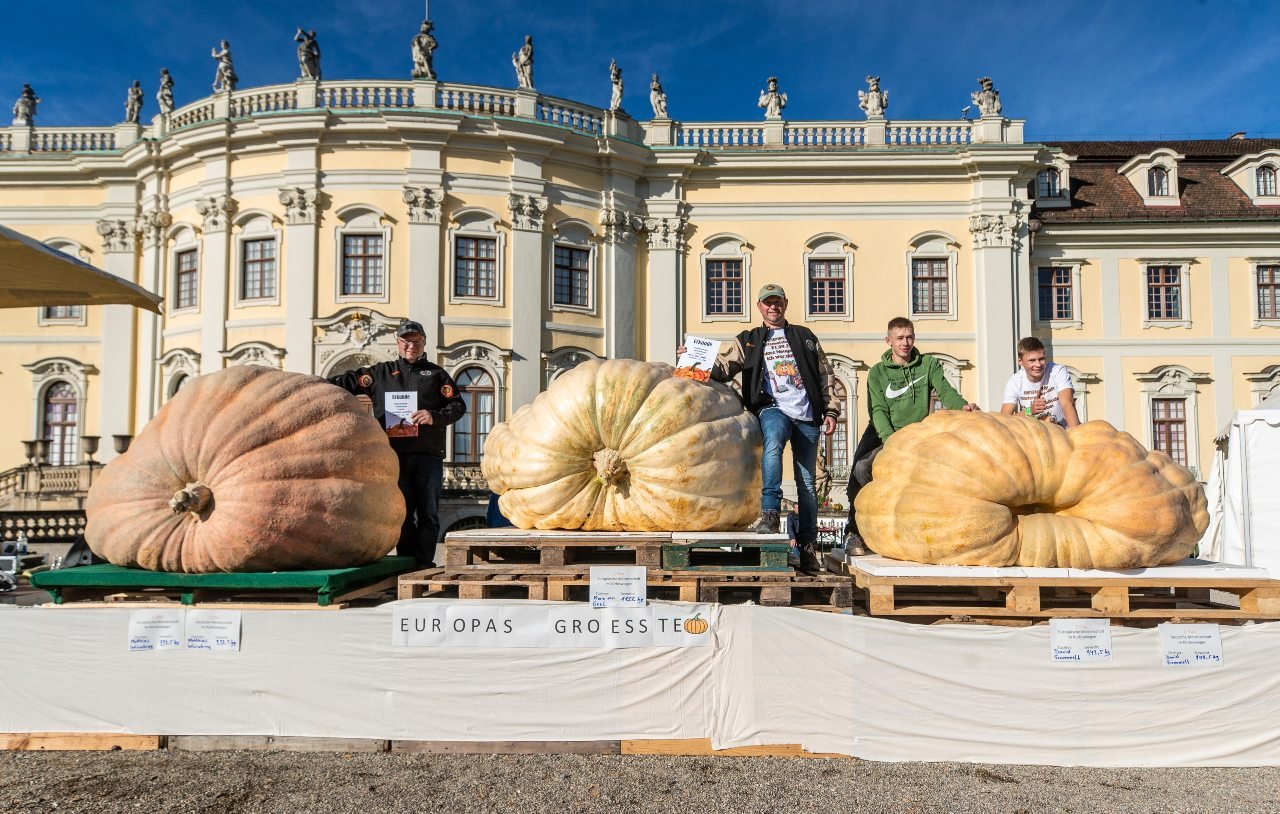 Inside Germany: Winter clocks, giant pumpkins and a year of the skilled worker law