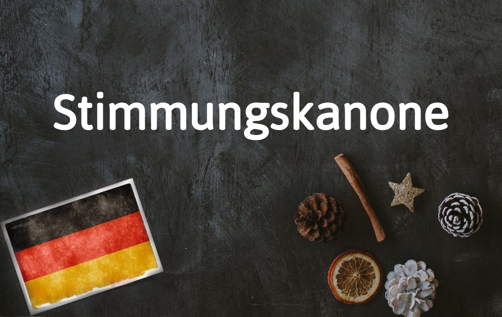 German word of the day: Stimmungskanone