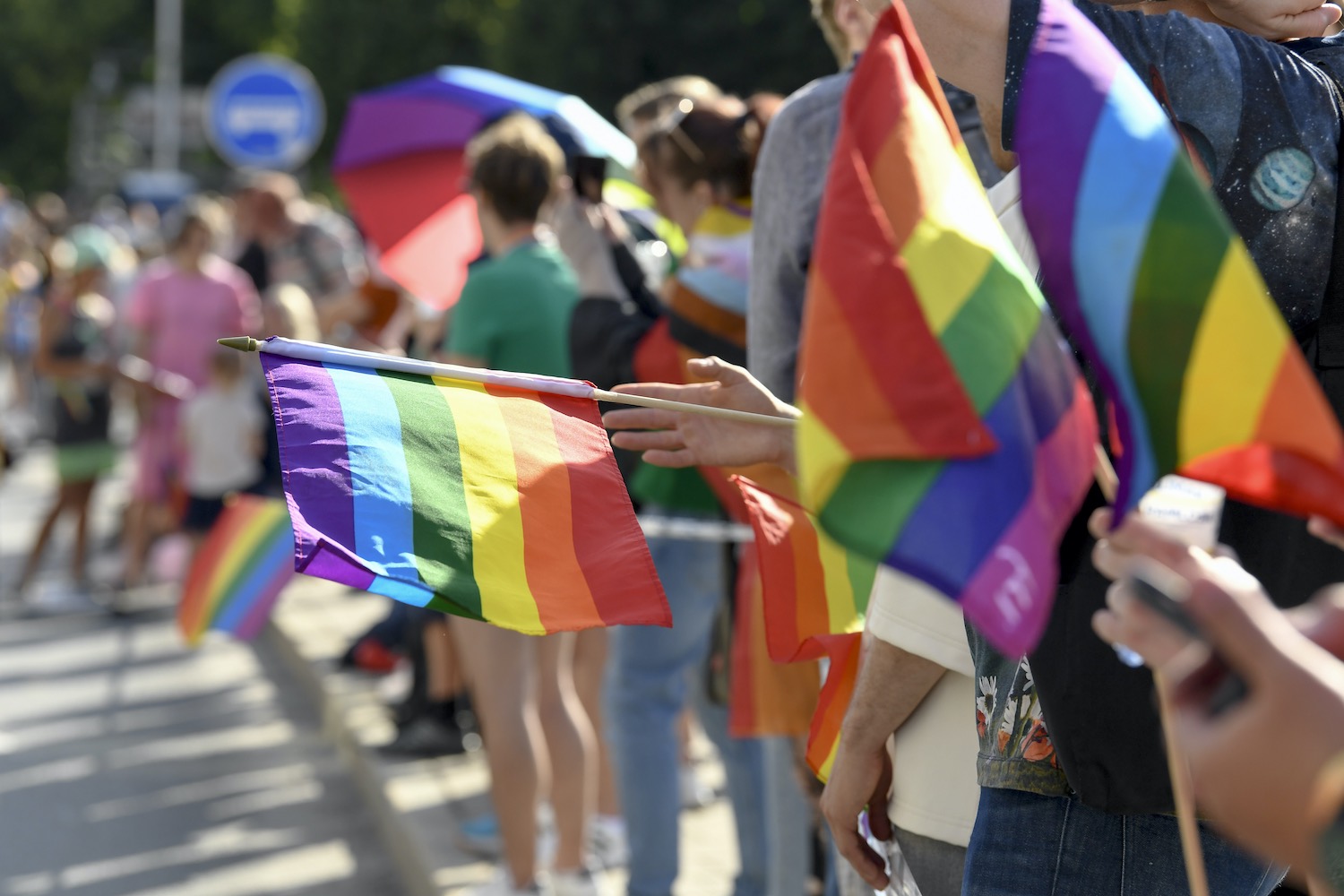 'Respect our host': Your views on Sweden's plan to survey immigrants’ values