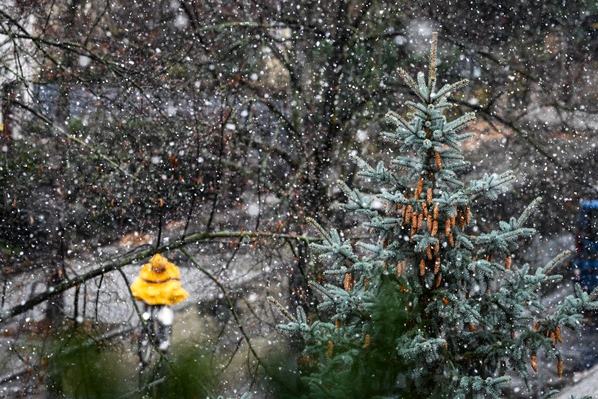 Germany issues weather warnings for gale-force winds