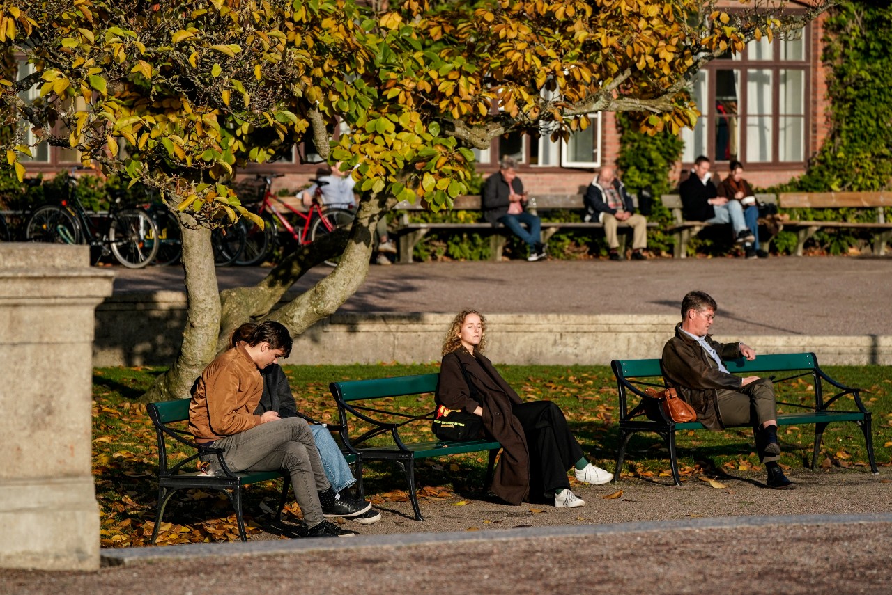 Inside Sweden: Climate impacts, university rankings and the work permit salary threshold