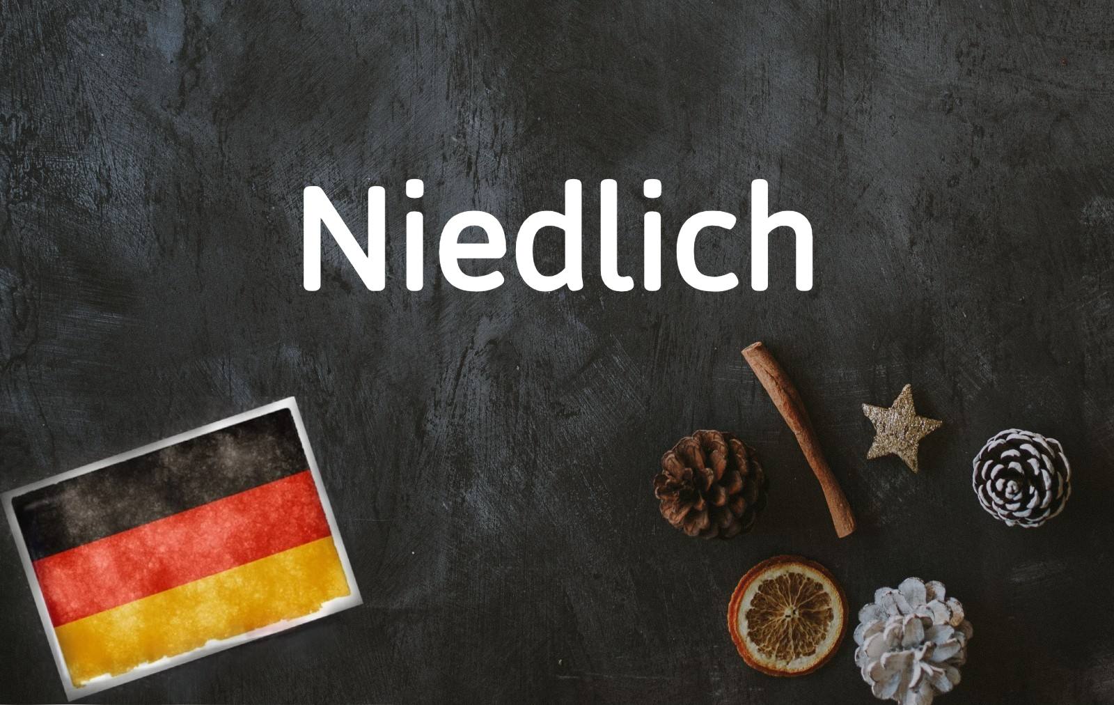 German word of the day: Niedlich