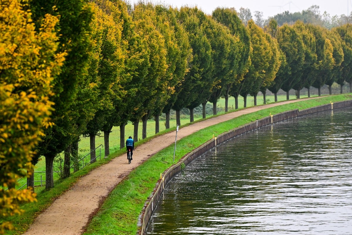 Germany says 2024 has been its hottest year on record