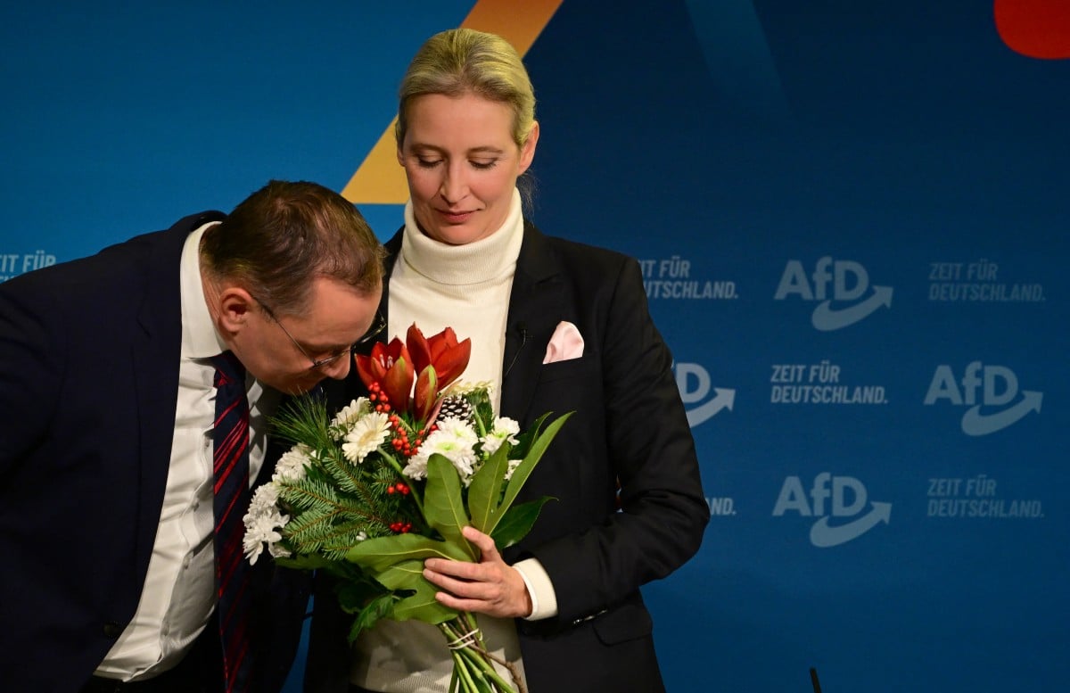 German parties see ‘warning’ from Austria as AfD hails far-right advance