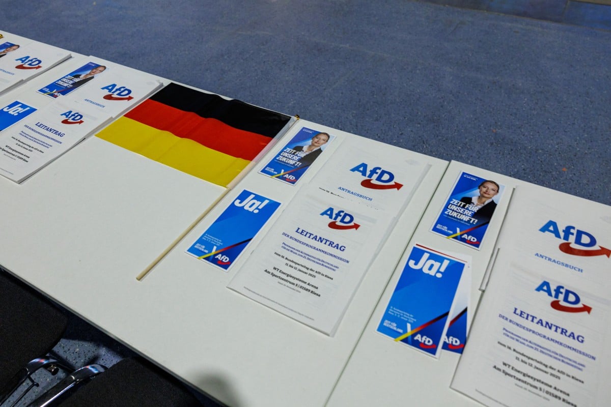 Germany’s AfD investigated over ‘deportation ticket’ flyers in Karlsruhe