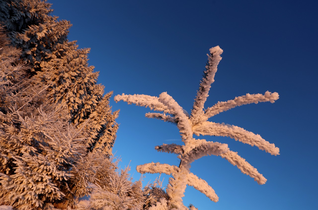 Bernbauren Bavaria frost ice snow