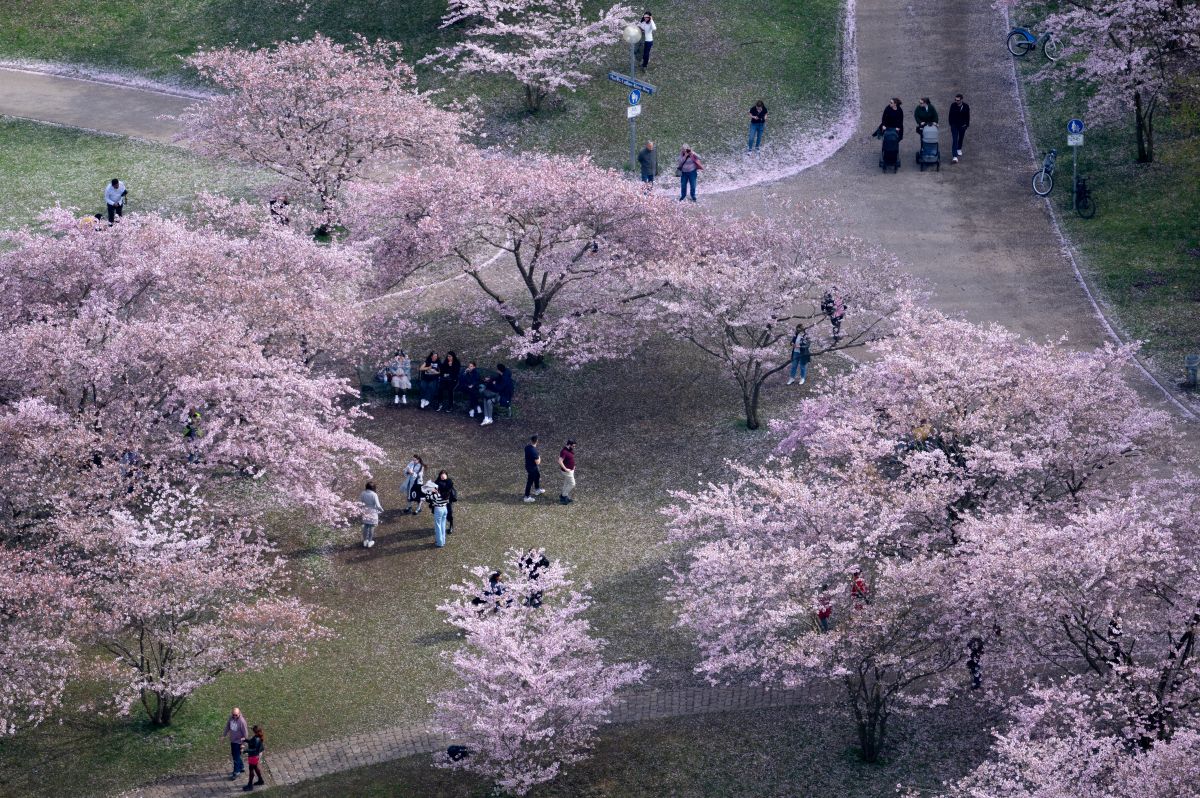 What’s on in Munich: The events not to miss this April