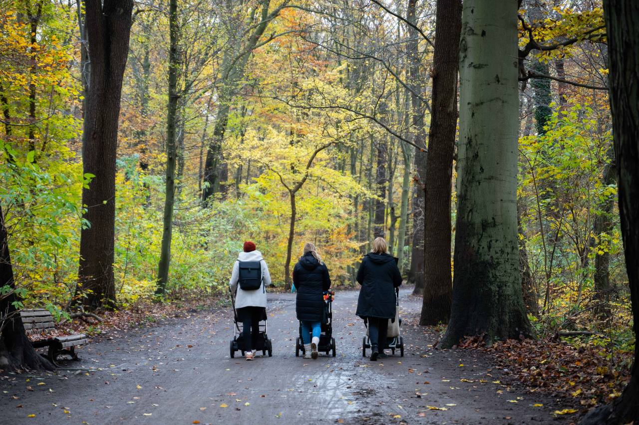 Reader question: Can you naturalise as German while on parental leave?
