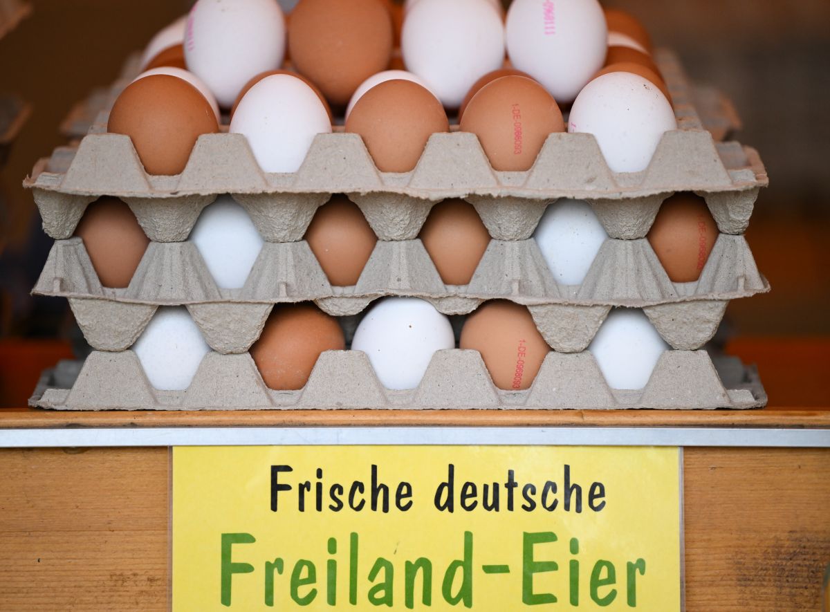 Why has the US asked Germany to send more eggs?